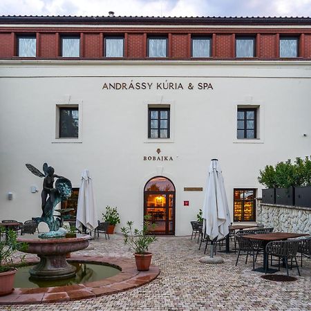 Andrássy Kúria&Spa Tarcal Exterior foto