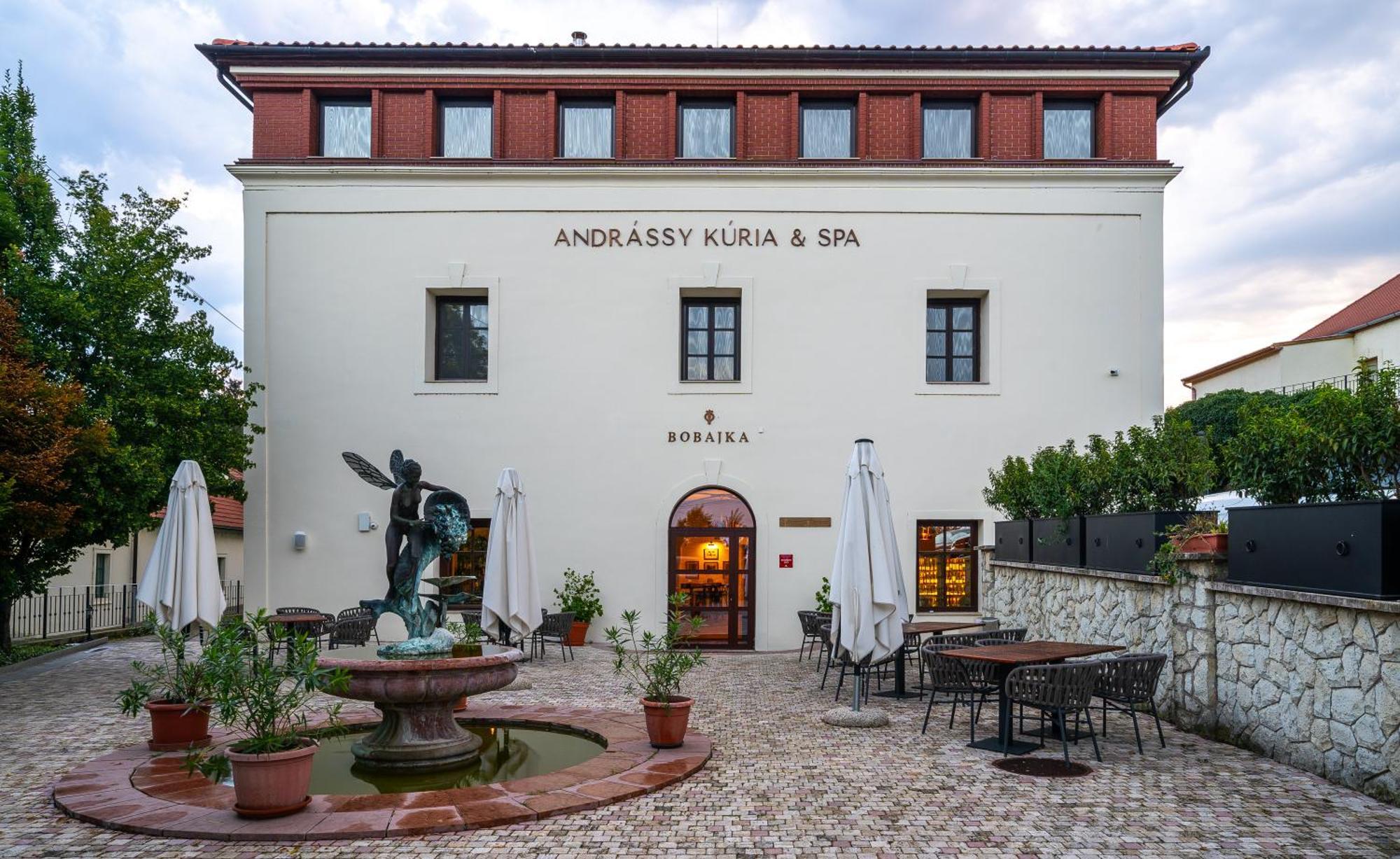 Andrássy Kúria&Spa Tarcal Exterior foto
